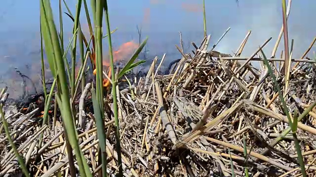 野外火灾