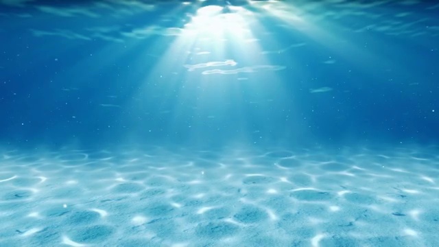 詳情圖-水下sceen?？纯次业钠渌潞秃＞皠?dòng)畫(huà)