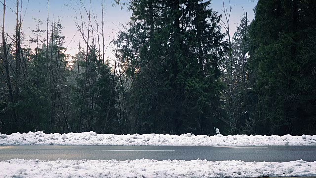 汽车在雪地上通过森林