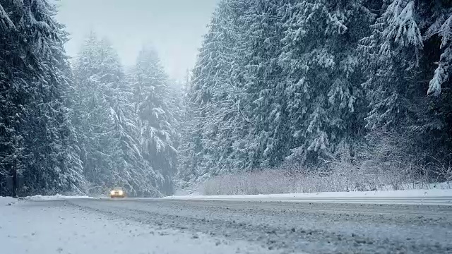 汽车在暴风雪中穿过森林