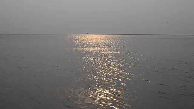 天空中有海鸥。