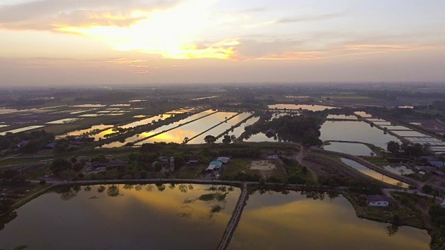 鸟瞰图:准备阶段被水覆盖的美丽稻田和傍晚的阳光反射。