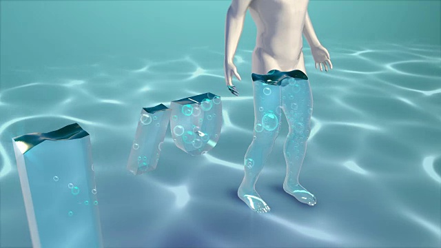3D人体中的水分百分比。4 k。超高清的