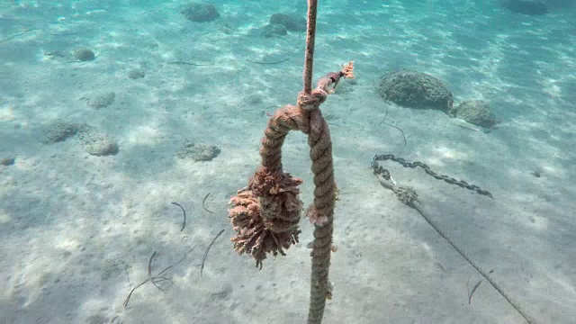 船的旧锚和锚链在希腊海底