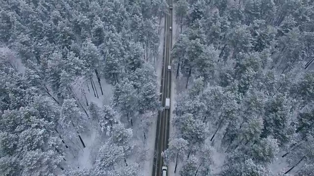 冬天森林里的路。