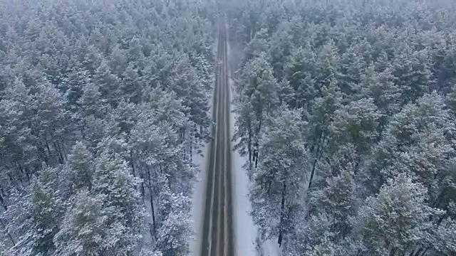 冬天森林里的路。