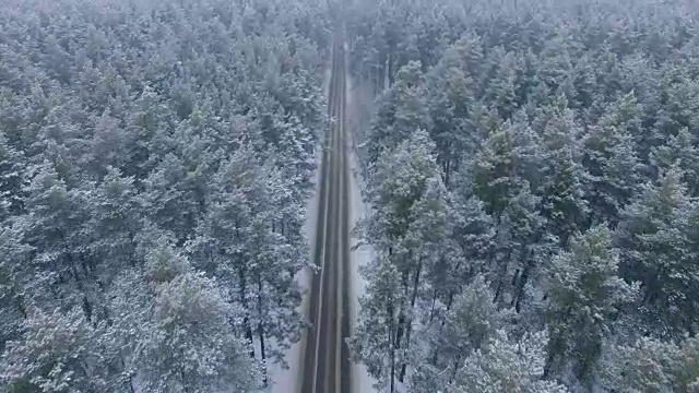 詳情圖-冬天森林里的路。