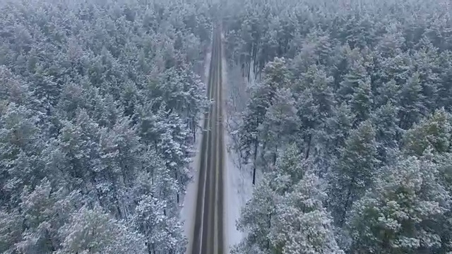 詳情圖-冬天森林里的路。