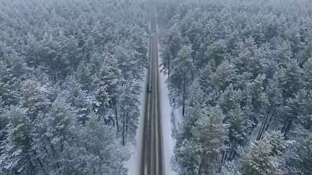 詳情圖-冬天森林里的路。