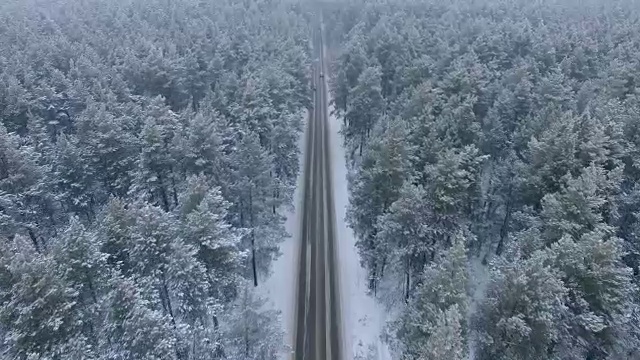 詳情圖-冬天森林里的路。