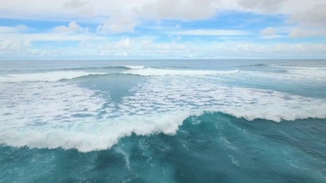 詳情圖-飛過海浪