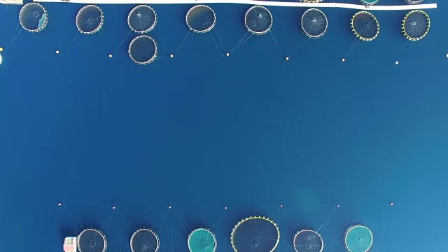 詳情圖-在克羅地亞的海魚養(yǎng)殖場上空飛翔