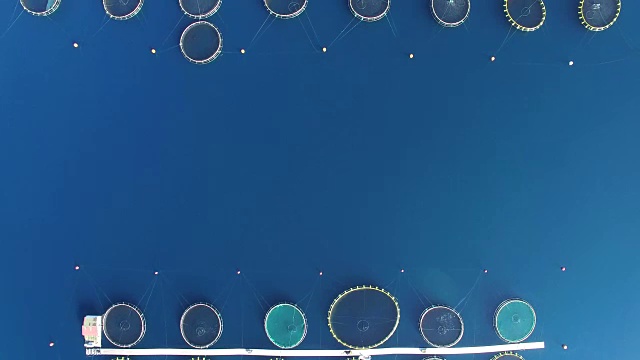 詳情圖-在克羅地亞的海魚養(yǎng)殖場上空飛翔