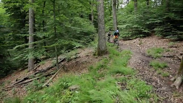 运动山地车单步道跳跃下降Schoenbuch #1