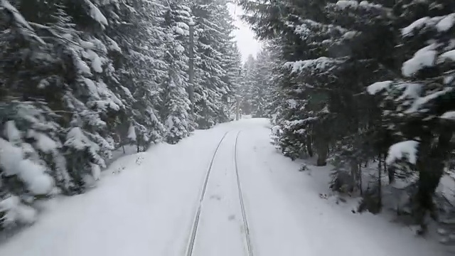 在火车上穿过积雪的冬天的森林。