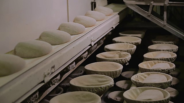 面包厂用传送带运送面包