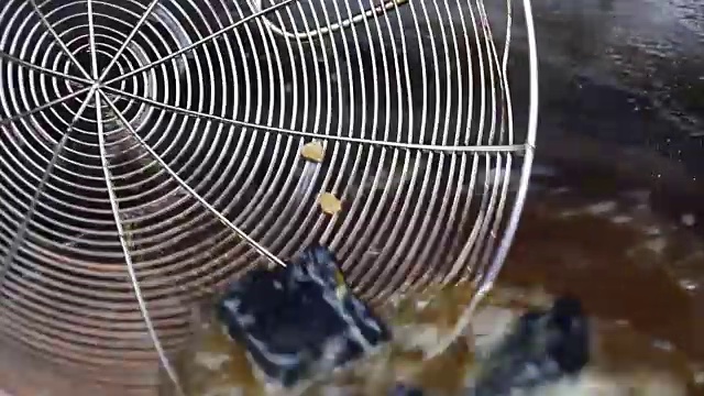 臭豆腐，浓烈的豆腐乳