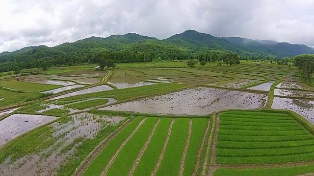 航拍稻田和山景