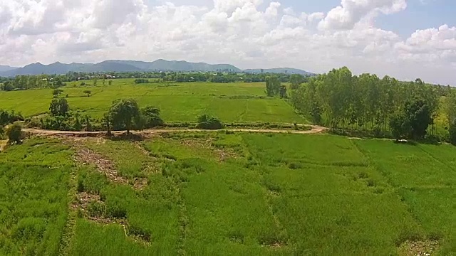 航拍稻田和山景