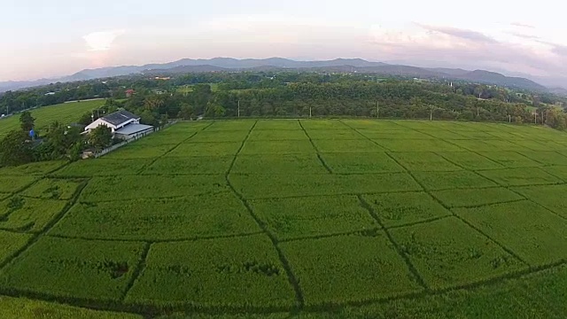 航拍稻田和山景