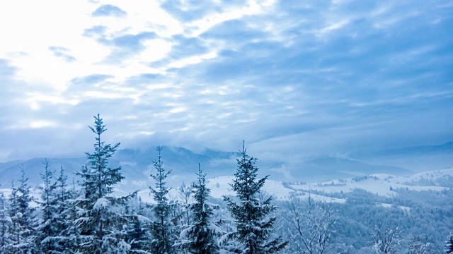 美丽的冬天的风景