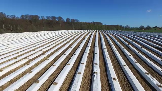 空中飞过一片覆盖着白色塑料箔的芦笋田——德国的春天