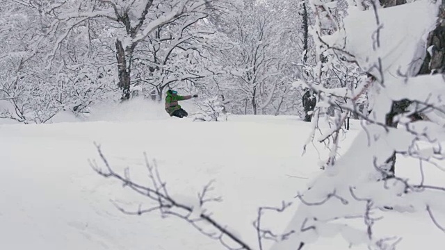 滑雪者免费骑野地树跑到处喷粉