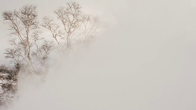 滑雪板斜杠喷雪向相机日落剪影