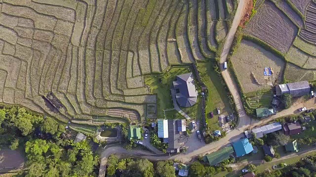 泰国北部稻田鸟瞰图