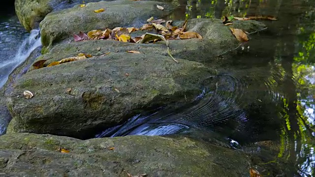 流动的水和瀑布的波浪在美丽的绿色自然