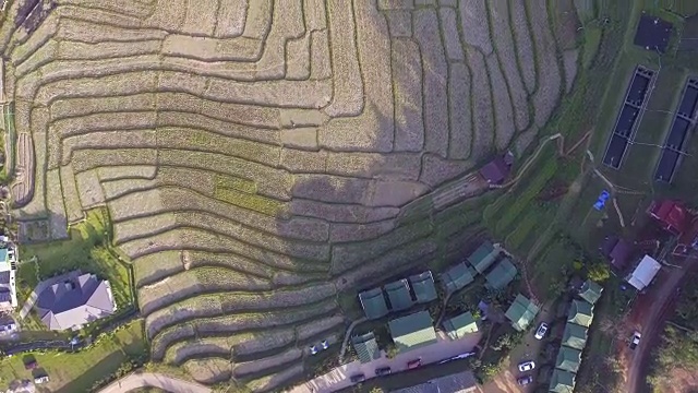 梯田在山上，清迈省，泰国，空中俯瞰