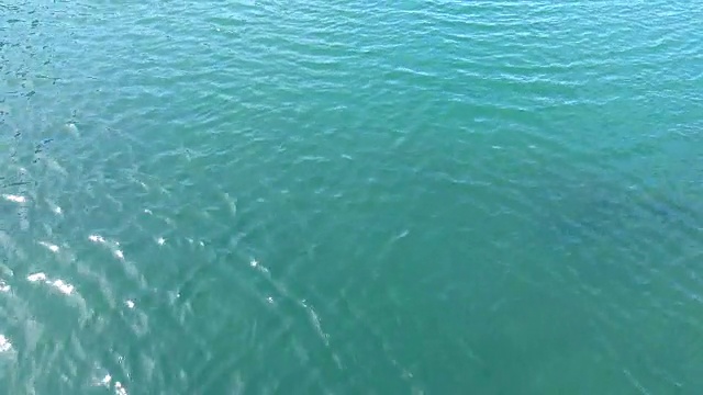 太平洋的蓝色海水。温暖的夏天