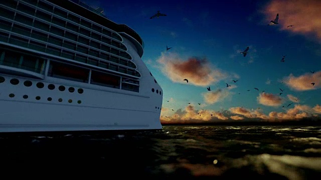 游船航行和海鸥在日落