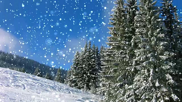 冬天山上的雪