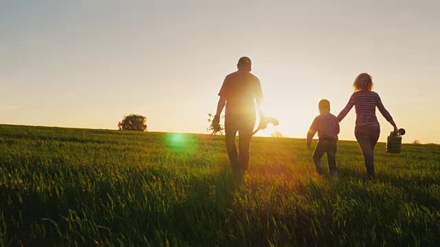 后视图:一个友好的家庭和一个年幼的儿子打算种树。携带幼苗，铲子和喷壶。落日背景下美丽田野的剪影