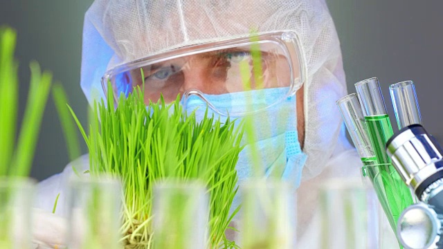 科学家分析植物。