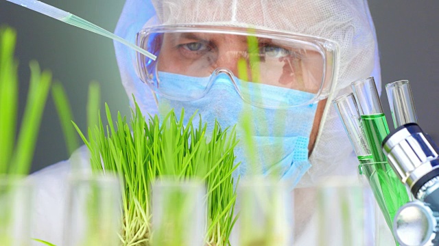 詳情圖-科學(xué)家分析植物。