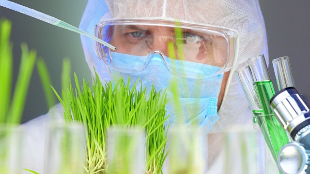 詳情圖-科學(xué)家分析植物。