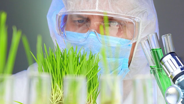 詳情圖-科學(xué)家分析植物。