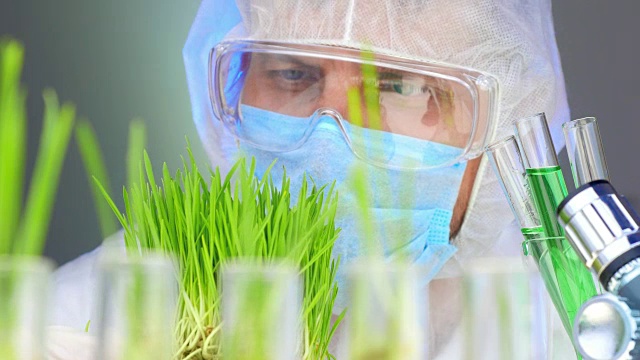 詳情圖-科學(xué)家分析植物。