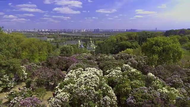 鸟瞰盛开的紫丁香和教堂植物园，基辅，乌克兰