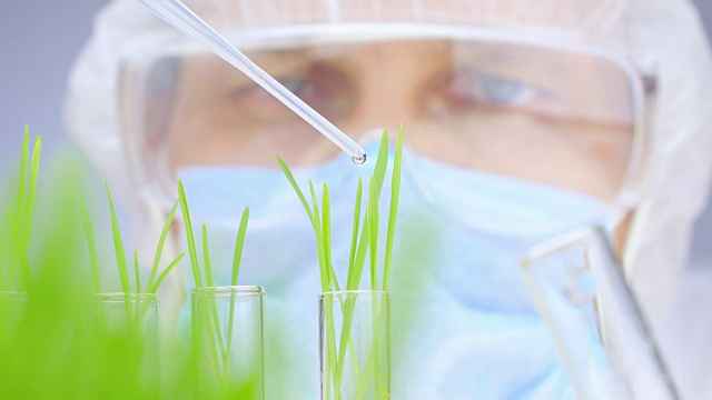 详情图-科学家分析植物。特写镜头。