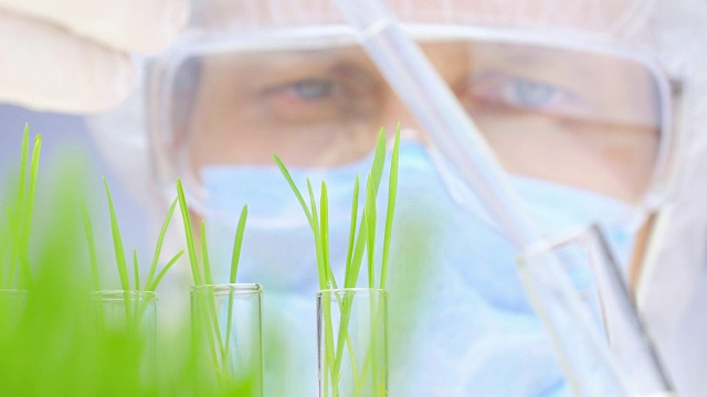 详情图-科学家分析植物。特写镜头。