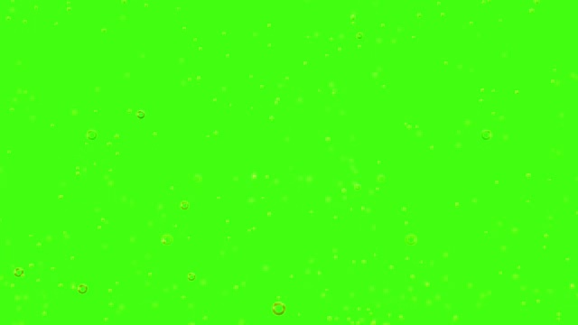 金色气泡运动内杯香槟在绿色屏幕上色度键背景，无缝环，放松和派对