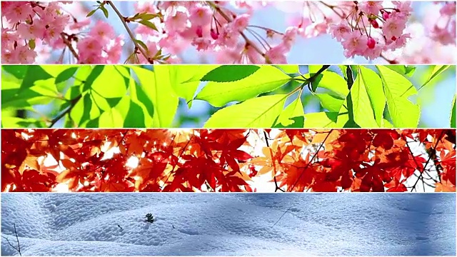 四季自然拼貼。每年不同時(shí)間的幾段錄像。