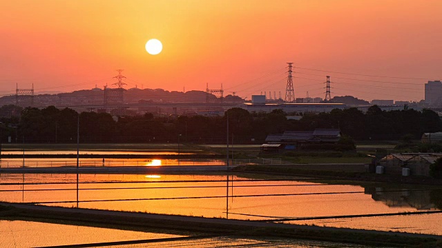 在日落播种前稻田的时间流逝，特写