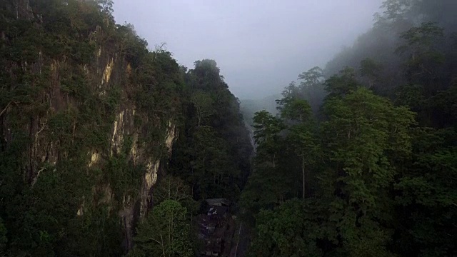 航拍热带雨林。清晨的薄雾