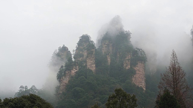 张家界国家公园被山雾环绕