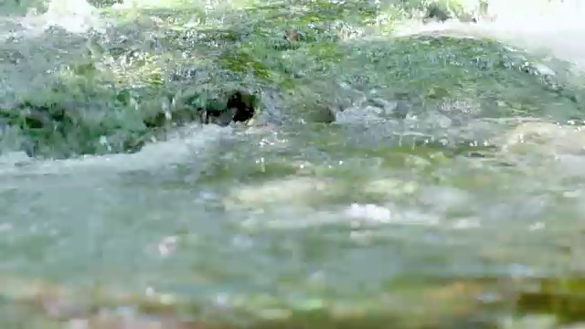 纯净的淡水瀑布在森林