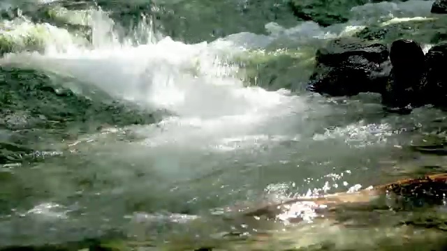 纯净的淡水瀑布在森林